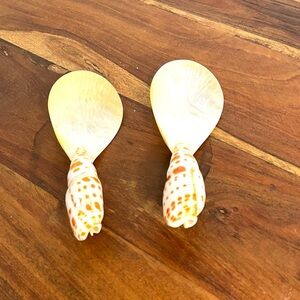 EPISCOPAL MITER SHELLS (MITRA MITRA) Orange Off White Striped SPOONS LOT OF 2
